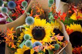 boquet of ascorted flowers